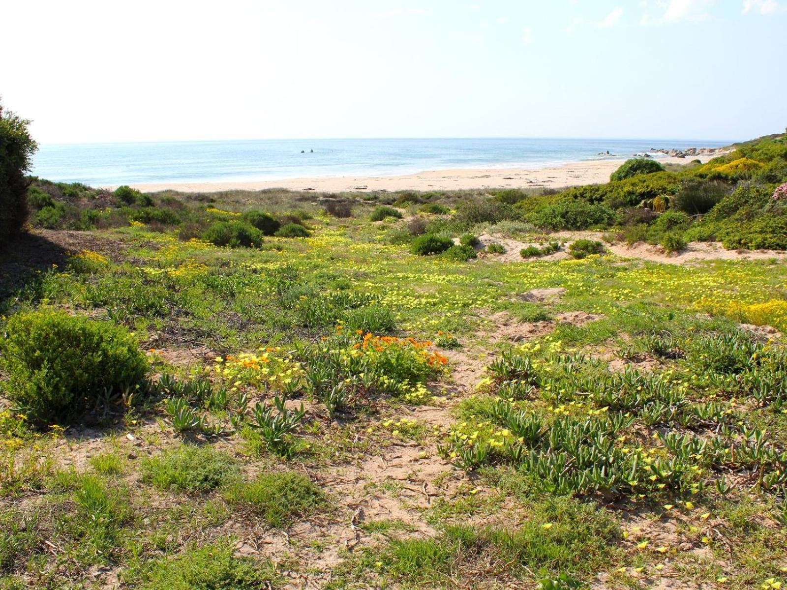 Absolute Beach Accommodation Stompneusbaai Exterior photo
